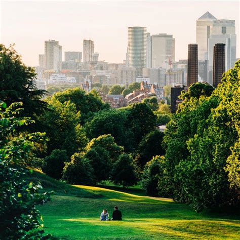 How Trees Make Cities Healthier .